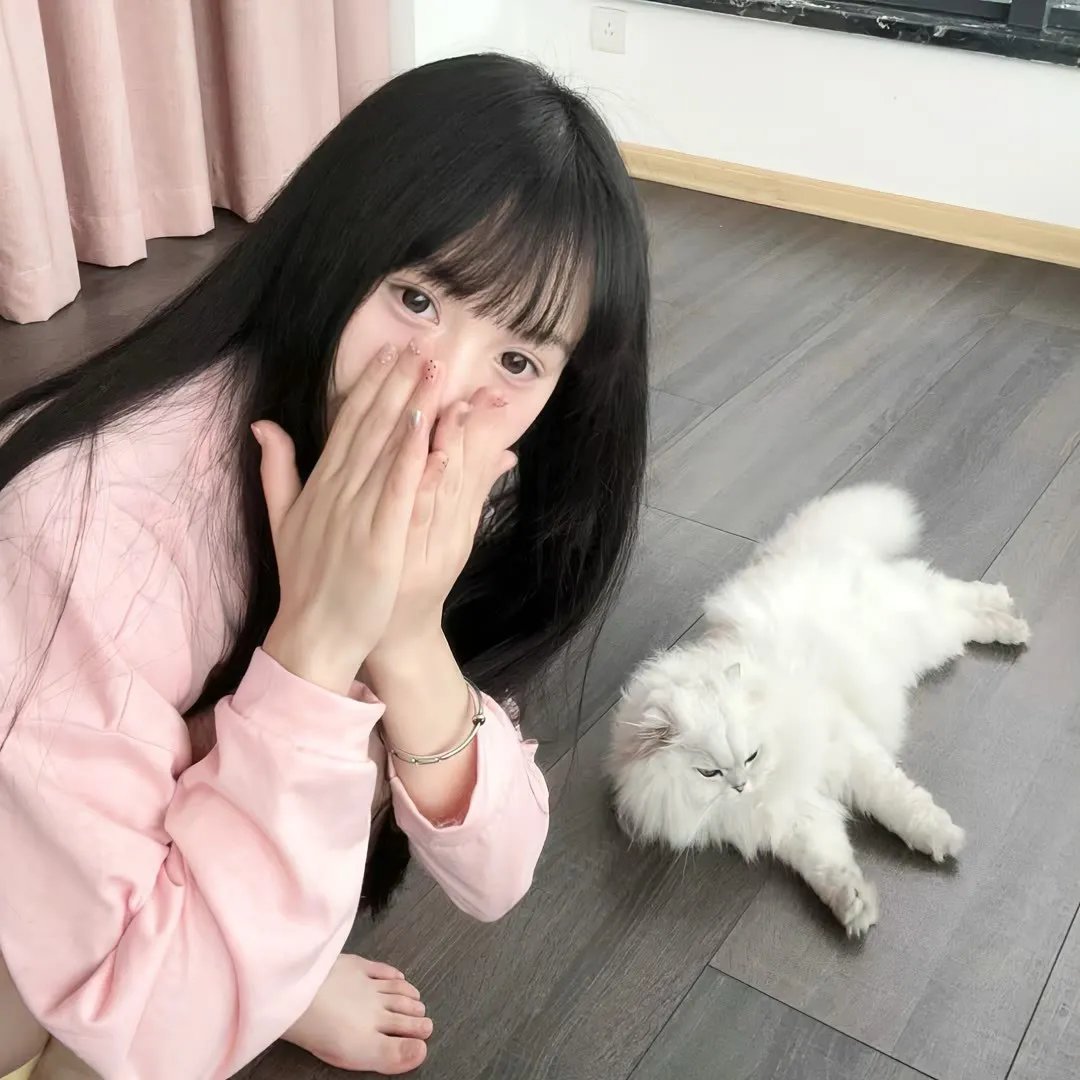 玩命法则 在线观看