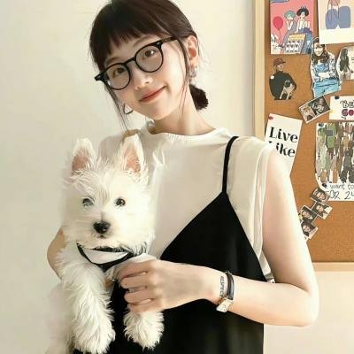 上翼! 在线观看